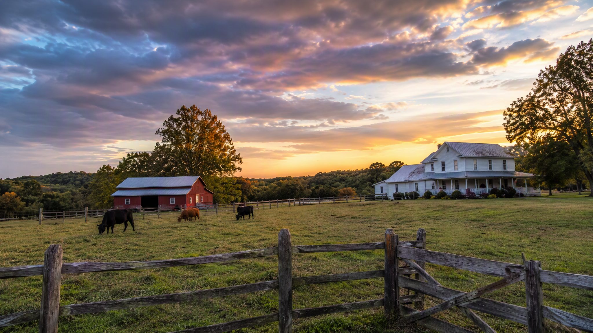Rural farm with a red barn and split-rail fence at dusk near Pea Ridge, Arkansas